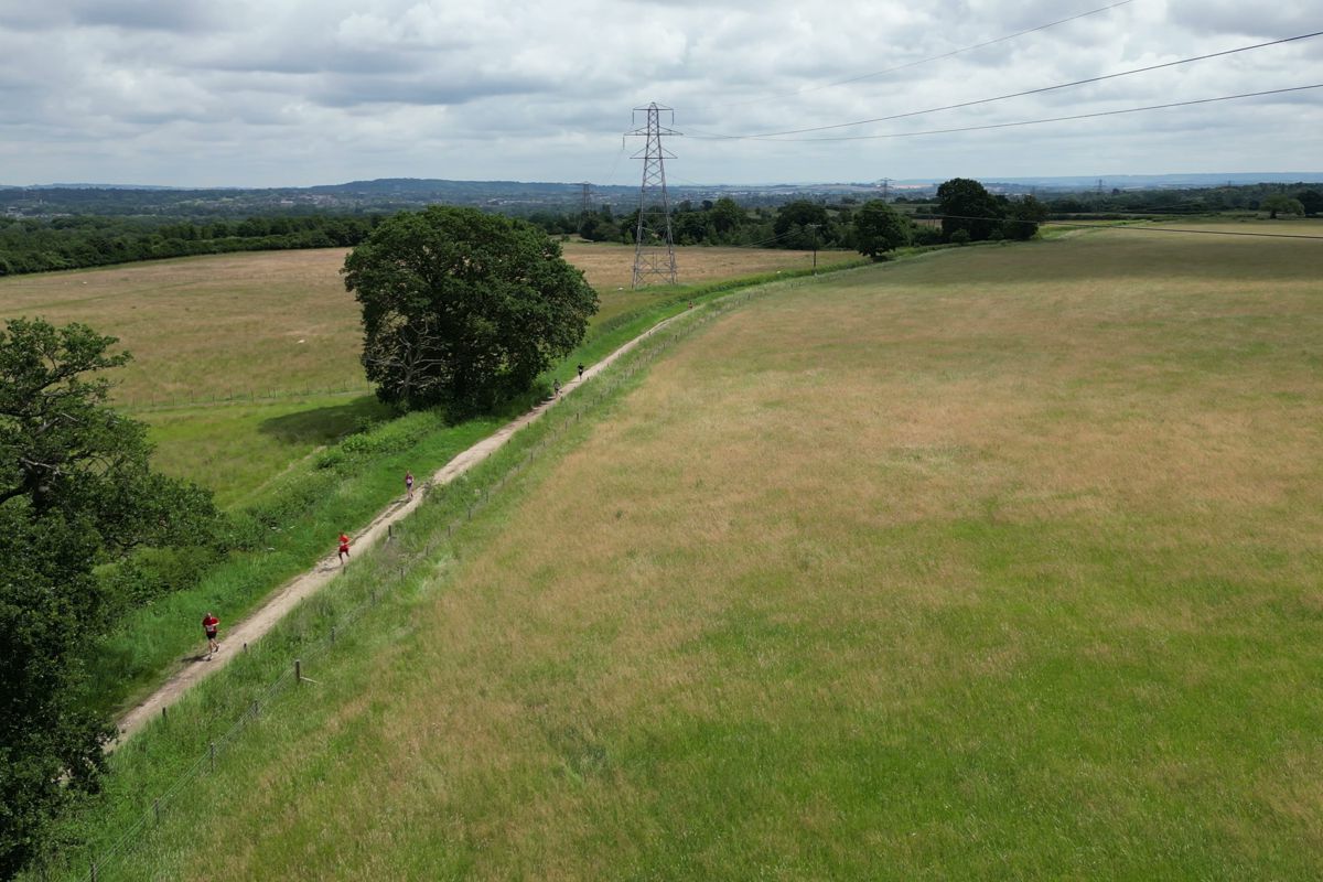 Oak trees over the track at the edge of a hay meadow
